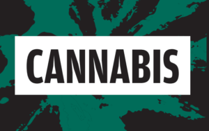 Les vår brosjyre om cannabis her